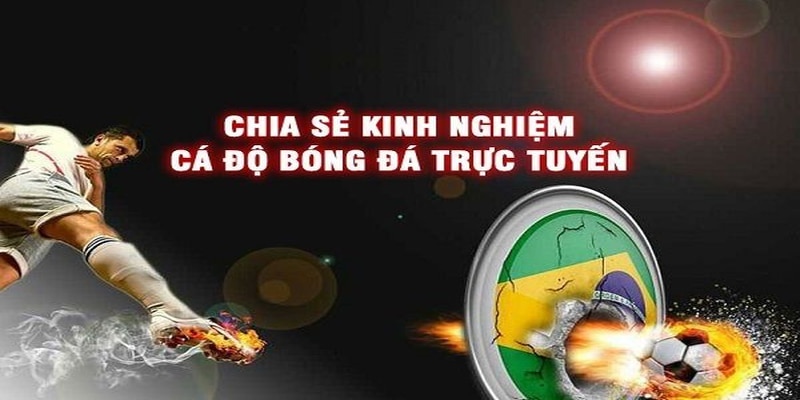 Một số kinh nghiệm từ cao thủ mà chúng tôi muốn chia sẻ đến người chơi