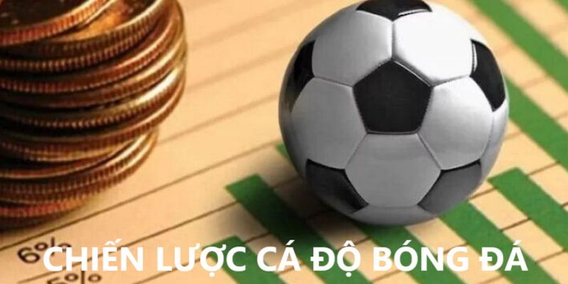 Chiến lược cá độ bóng đá luôn thắng tại EV88
