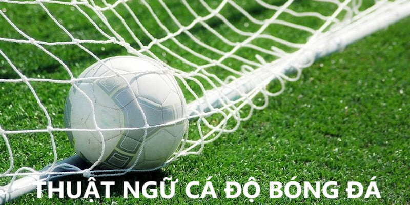 Thuật ngữ cá độ bóng đá thường sử dụng
