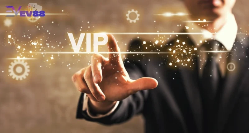 Ảnh minh hoạ: Thông tin về chương trình thành viên VIP