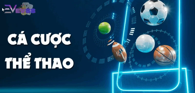Ảnh minh hoạ: Tìm hiểu thông tin về hoàn trả thể thao